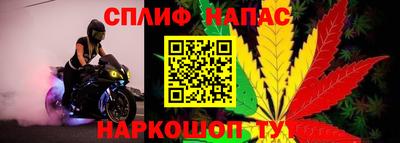каннабис Дубна