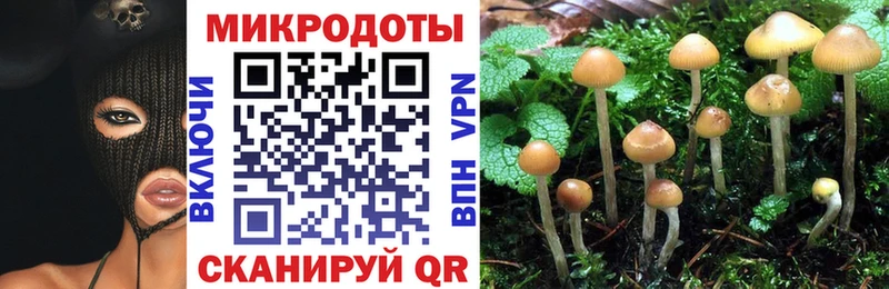 Псилоцибиновые грибы Cubensis Среднеуральск