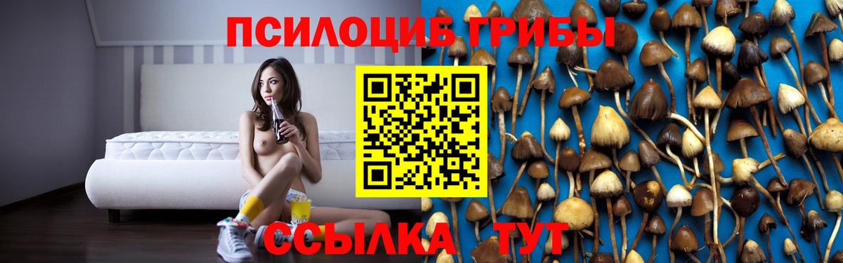 Галлюциногенные грибы Psilocybe Среднеуральск